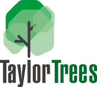 Taylor Trees